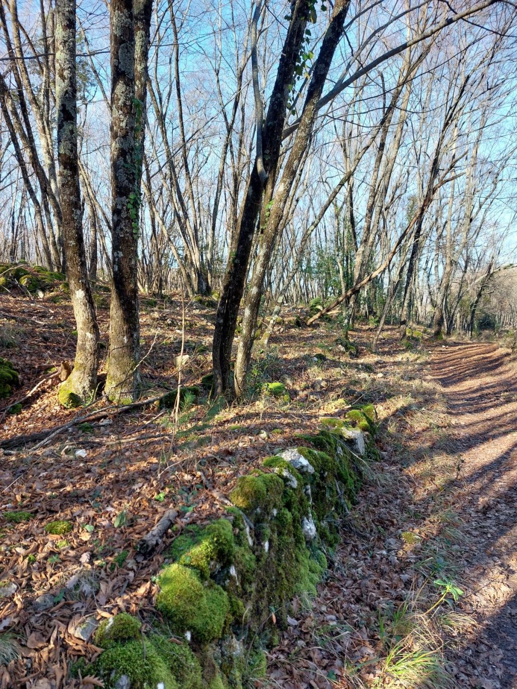 Au-delà du brouillard