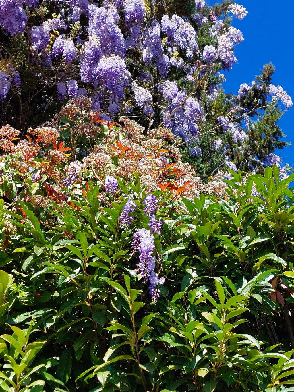 Deuxième étoile à&nbsp;droite