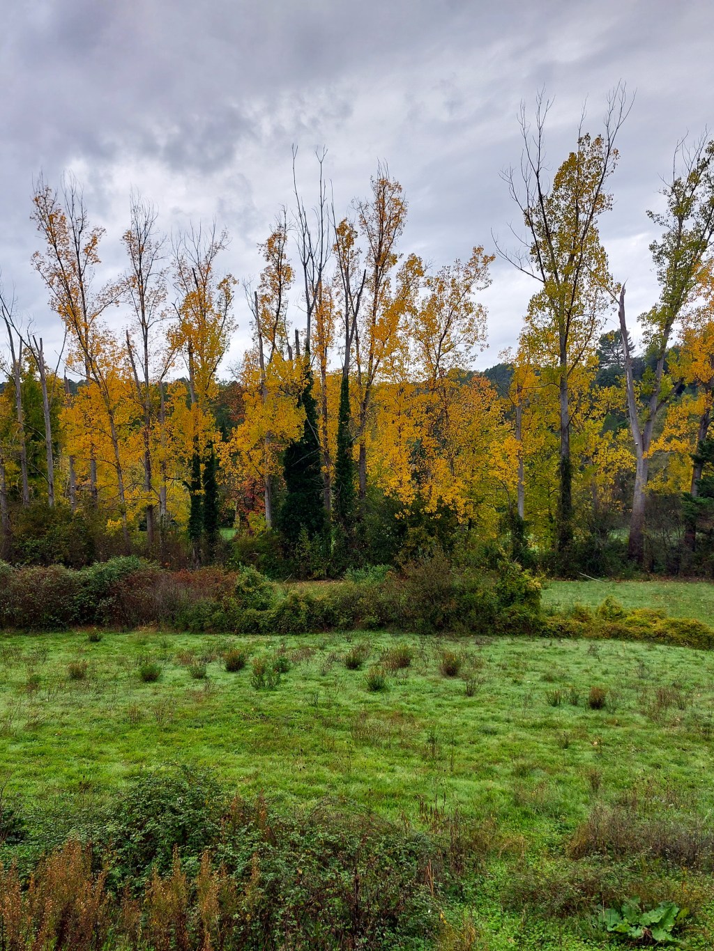 Je suis toujours&nbsp;ici